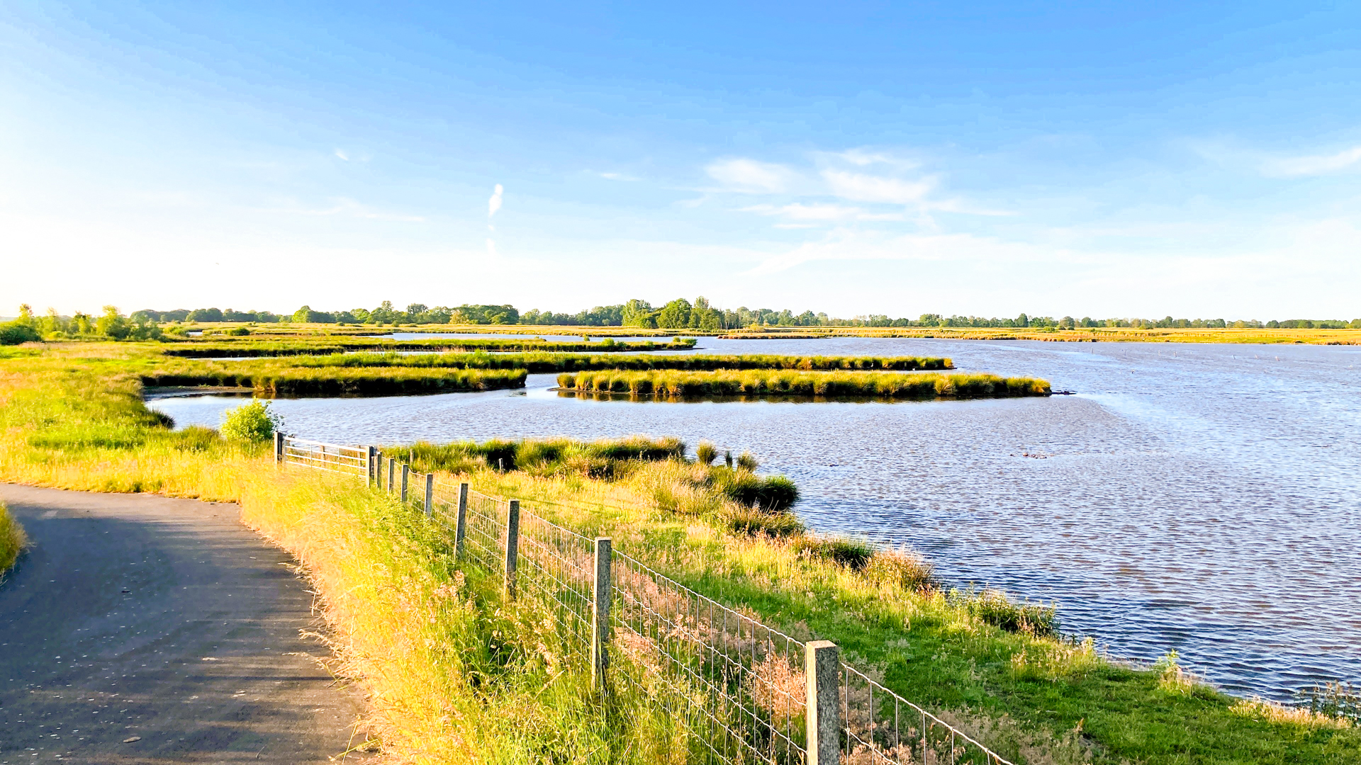 Polder Holter Hammrich - Naturschutzgebiet